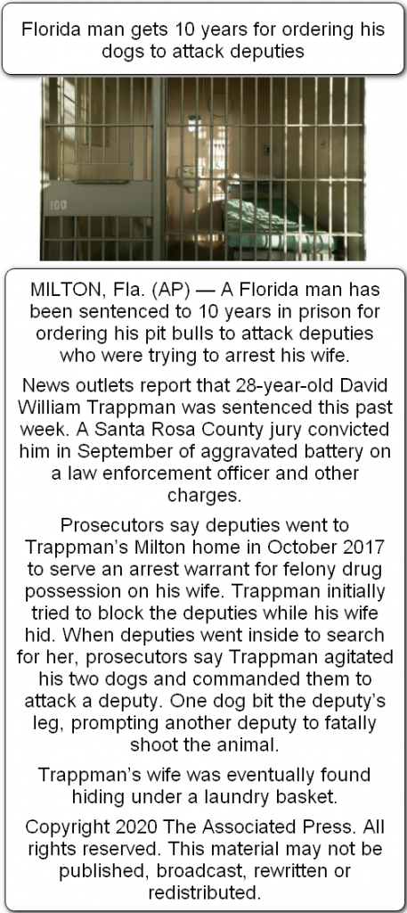 What did the Florida man do on December 29? - Florida Man challenge