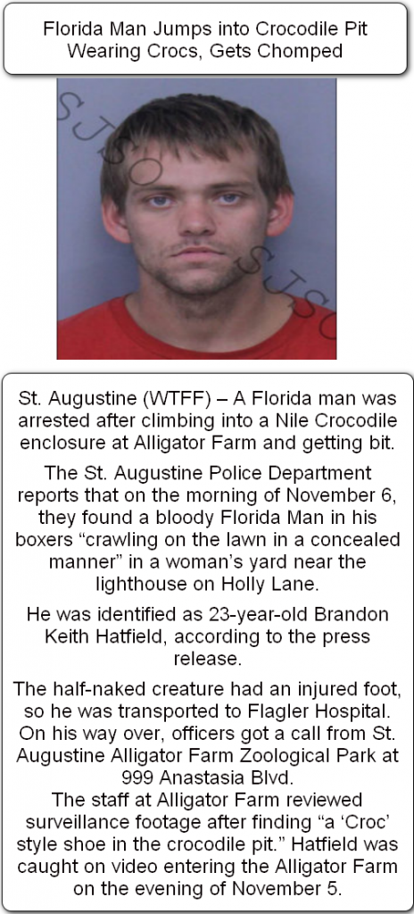 What did the Florida man do on November 7? - Florida Man challenge